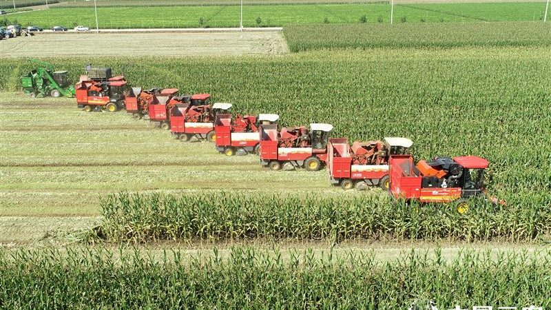 收割机维修服务，品牌间的差异化考量